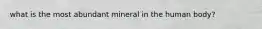 what is the most abundant mineral in the human body?