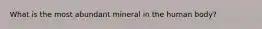 What is the most abundant mineral in the human body?