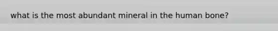 what is the most abundant mineral in the human bone?