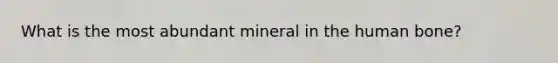 What is the most abundant mineral in the human bone?