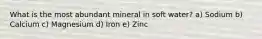 What is the most abundant mineral in soft water? a) Sodium b) Calcium c) Magnesium d) Iron e) Zinc