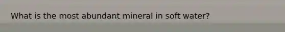 What is the most abundant mineral in soft water?