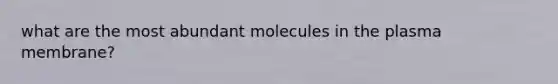 what are the most abundant molecules in the plasma membrane?