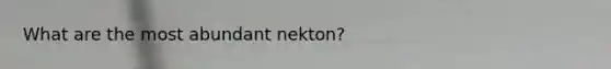 What are the most abundant nekton?