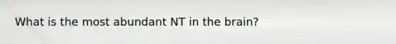 What is the most abundant NT in <a href='https://www.questionai.com/knowledge/kLMtJeqKp6-the-brain' class='anchor-knowledge'>the brain</a>?