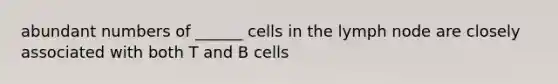 abundant numbers of ______ cells in the lymph node are closely associated with both T and B cells