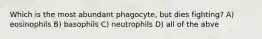 Which is the most abundant phagocyte, but dies fighting? A) eosinophils B) basophils C) neutrophils D) all of the abve