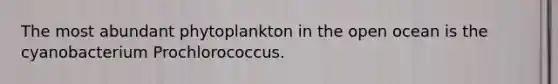 The most abundant phytoplankton in the open ocean is the cyanobacterium Prochlorococcus.