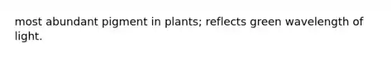 most abundant pigment in plants; reflects green wavelength of light.