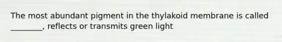 The most abundant pigment in the thylakoid membrane is called ________, reflects or transmits green light