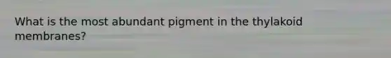 What is the most abundant pigment in the thylakoid membranes?