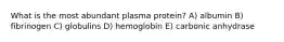 What is the most abundant plasma protein? A) albumin B) fibrinogen C) globulins D) hemoglobin E) carbonic anhydrase