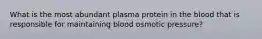 What is the most abundant plasma protein in the blood that is responsible for maintaining blood osmotic pressure?