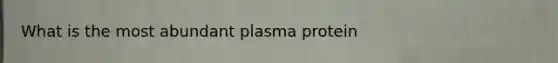 What is the most abundant plasma protein