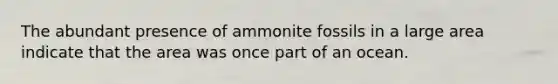 The abundant presence of ammonite fossils in a large area indicate that the area was once part of an ocean.