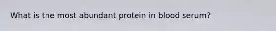 What is the most abundant protein in blood serum?