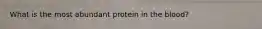 What is the most abundant protein in the blood?