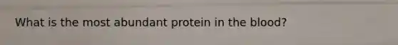 What is the most abundant protein in the blood?