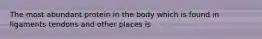The most abundant protein in the body which is found in ligaments tendons and other places is