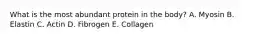 What is the most abundant protein in the body? A. Myosin B. Elastin C. Actin D. Fibrogen E. Collagen