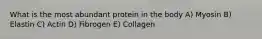 What is the most abundant protein in the body A) Myosin B) Elastin C) Actin D) Fibrogen E) Collagen