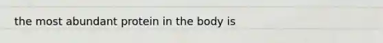 the most abundant protein in the body is