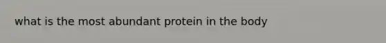 what is the most abundant protein in the body