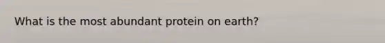 What is the most abundant protein on earth?