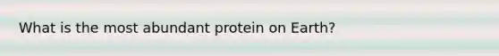 What is the most abundant protein on Earth?