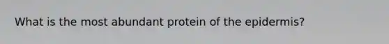 What is the most abundant protein of the epidermis?