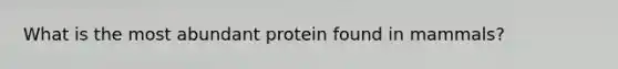 What is the most abundant protein found in mammals?