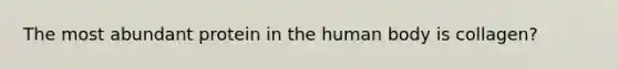 The most abundant protein in the human body is collagen?
