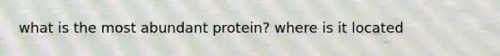 what is the most abundant protein? where is it located