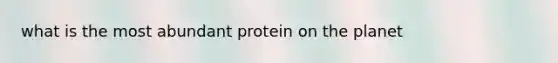 what is the most abundant protein on the planet