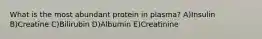 What is the most abundant protein in plasma? A)Insulin B)Creatine C)Bilirubin D)Albumin E)Creatinine