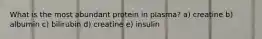 What is the most abundant protein in plasma? a) creatine b) albumin c) bilirubin d) creatine e) insulin