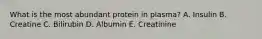 What is the most abundant protein in plasma? A. Insulin B. Creatine C. Bilirubin D. Albumin E. Creatinine