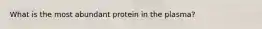 What is the most abundant protein in the plasma?