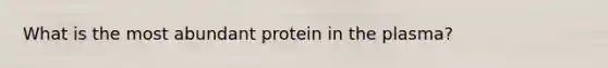 What is the most abundant protein in the plasma?