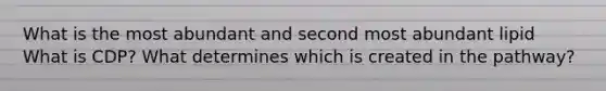 What is the most abundant and second most abundant lipid What is CDP? What determines which is created in the pathway?