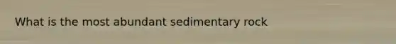 What is the most abundant sedimentary rock