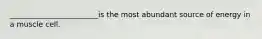 ________________________is the most abundant source of energy in a muscle cell.