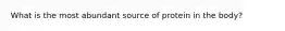 What is the most abundant source of protein in the body?