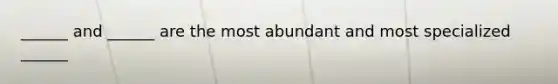 ______ and ______ are the most abundant and most specialized ______