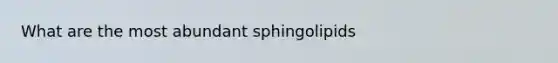 What are the most abundant sphingolipids