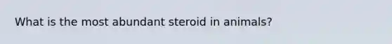 What is the most abundant steroid in animals?