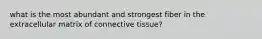 what is the most abundant and strongest fiber in the extracellular matrix of connective tissue?