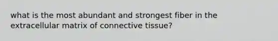 what is the most abundant and strongest fiber in the extracellular matrix of connective tissue?