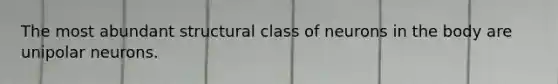 The most abundant structural class of neurons in the body are unipolar neurons.