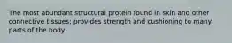 The most abundant structural protein found in skin and other connective tissues; provides strength and cushioning to many parts of the body